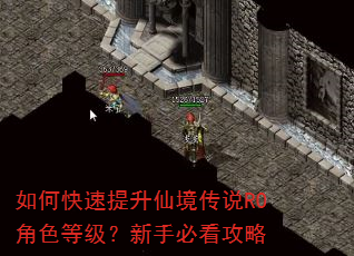 如何快速提升仙境传说RO角色等级?新手必看攻略 如何快速提升仙境传说RO角色等级?新手必看攻略
