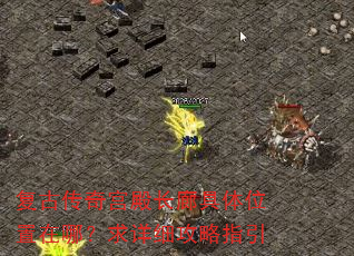 ���Ŵ��湬��Ⱦ���λ�����ģ�����ϸ����ָ��