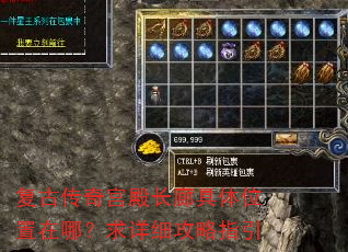 ���Ŵ��湬��Ⱦ���λ�����ģ�����ϸ����ָ��