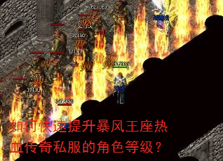 如何快速提升暴风王座热血传奇私服的角色等级? 如何快速提升暴风王座热血传奇私服的角色等级?