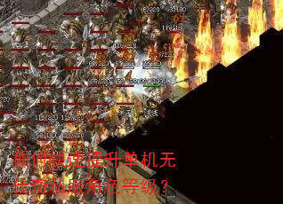 如何快速提升单机无传奇私服角色等级? 如何快速提升单机无传奇私服角色等级?