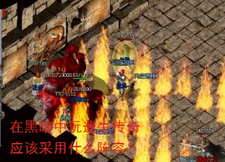 在黑暗中玩迷失传奇应该采用什么阵容? 在黑暗中玩迷失传奇应该采用什么阵容?
