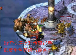 如何快速提升传奇sf手机版角色等级与装备? 如何快速提升传奇sf手机版角色等级与装备?