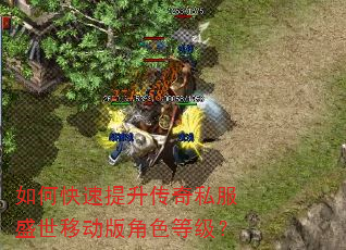 如何快速提升传奇私服盛世移动版角色等级? 如何快速提升传奇私服盛世移动版角色等级?