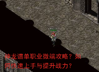 神龙谱单职业微端攻略?如何快速上手与提升战力? 神龙谱单职业微端攻略?如何快速上手与提升战力?