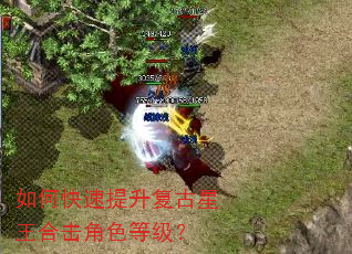 如何快速提升复古星王合击角色等级? 如何快速提升复古星王合击角色等级?