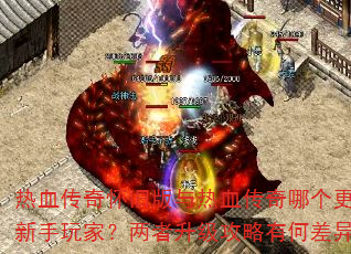 ��Ѫ���滳�ɰ�����Ѫ�����ĸ����ʺ�������ң��������������кβ��죿