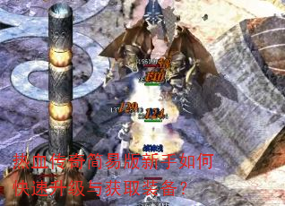 热血传奇简易版新手如何快速升级与获取装备? 热血传奇简易版新手如何快速升级与获取装备?