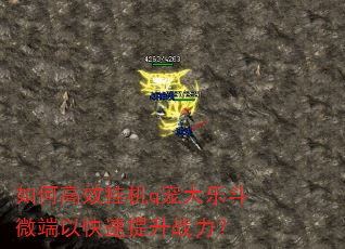 如何高效挂机q宠大乐斗微端以快速提升战力? 如何高效挂机q宠大乐斗微端以快速提升战力?