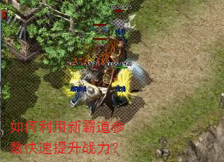 如何利用新霸道参数快速提升战力? 如何利用新霸道参数快速提升战力?