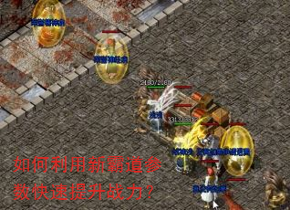 如何利用新霸道参数快速提升战力? 如何利用新霸道参数快速提升战力?