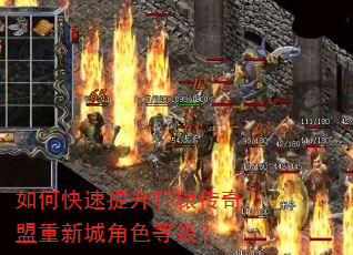 ��ο���������ԯ���������³ǽ�ɫ�ȼ���