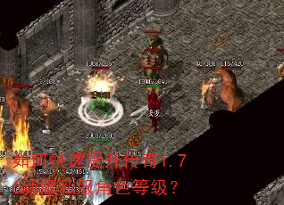 如何快速提升传奇1.76新版私服角色等级? 如何快速提升传奇1.76新版私服角色等级?
