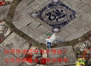 如何快速提升角色等级?方舟传奇私服攻略全解析 如何快速提升角色等级?方舟传奇私服攻略全解析