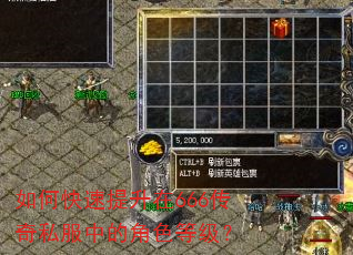 如何快速提升在666传奇私服中的角色等级? 如何快速提升在666传奇私服中的角色等级?