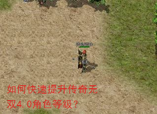 如何快速提升传奇无双4.0角色等级? 如何快速提升传奇无双4.0角色等级?