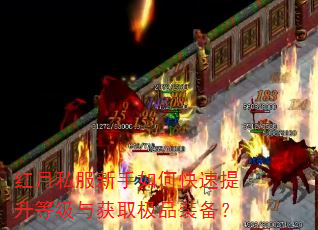 红月私服新手如何快速提升等级与获取极品装备? 红月私服新手如何快速提升等级与获取极品装备?