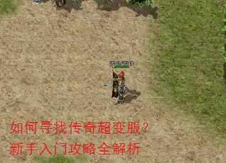 如何寻找传奇超变服?新手入门攻略全解析 如何寻找传奇超变服?新手入门攻略全解析