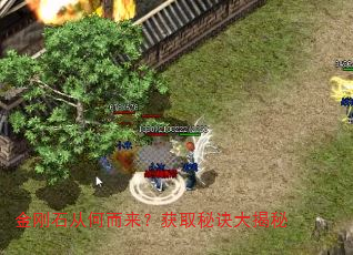 金刚石从何而来?获取秘诀大揭秘 金刚石从何而来?获取秘诀大揭秘