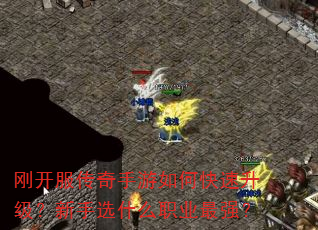 刚开服传奇手游如何快速升级?新手选什么职业最强? 刚开服传奇手游如何快速升级?新手选什么职业最强?
