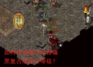 如何快速提升传奇暗黑复古版角色等级? 如何快速提升传奇暗黑复古版角色等级?