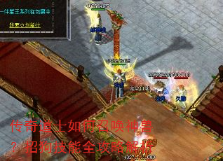 传奇道士如何召唤神兽?招狗技能全攻略解析 传奇道士如何召唤神兽?招狗技能全攻略解析