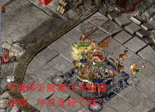 圣魔印开服竞技场制霸攻略,你准备好了吗? 圣魔印开服竞技场制霸攻略,你准备好了吗?