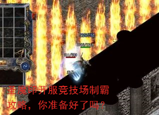 圣魔印开服竞技场制霸攻略,你准备好了吗? 圣魔印开服竞技场制霸攻略,你准备好了吗?
