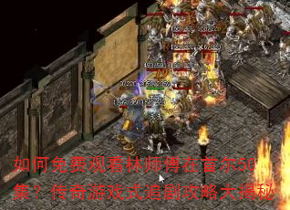 如何免费观看林师傅在首尔50集?传奇游戏式追剧攻略大揭秘 如何免费观看林师傅在首尔50集?传奇游戏式追剧攻略大揭秘