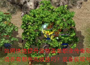 如何快速提升宠物蛋单职业传奇私服角色等级?宠物培养有哪些高效技巧?装备获取与强化策略是什么? 如何快速提升宠物蛋单职业传奇私服角色等级?宠物培养有哪些高效技巧?装备获取与强化策略是什么?