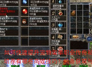如何快速提升宠物蛋单职业传奇私服角色等级?宠物培养有哪些高效技巧?装备获取与强化策略是什么? 如何快速提升宠物蛋单职业传奇私服角色等级?宠物培养有哪些高效技巧?装备获取与强化策略是什么?
