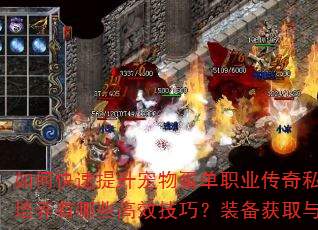 如何快速提升宠物蛋单职业传奇私服角色等级?宠物培养有哪些高效技巧?装备获取与强化策略是什么? 如何快速提升宠物蛋单职业传奇私服角色等级?宠物培养有哪些高效技巧?装备获取与强化策略是什么?