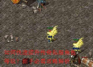 如何快速提升传奇私服角色等级?新手必看攻略解析 如何快速提升传奇私服角色等级?新手必看攻略解析