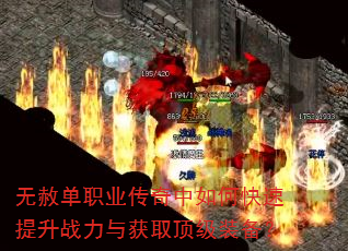 ���ⵥְҵ��������ο�������ս�����ȡ����װ����